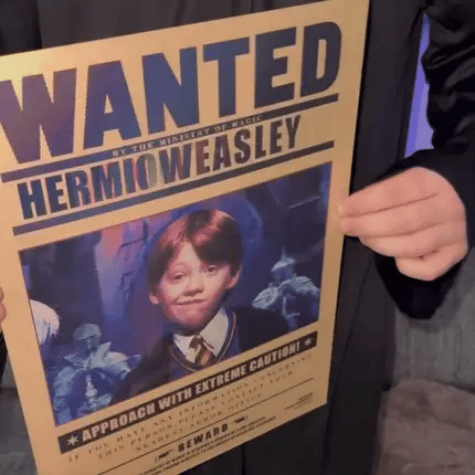 Wizarding Posters