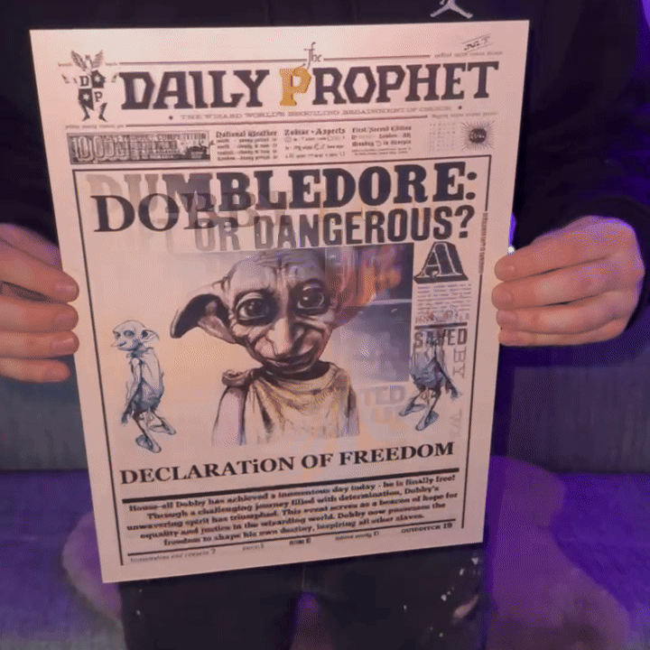 Wizarding Posters