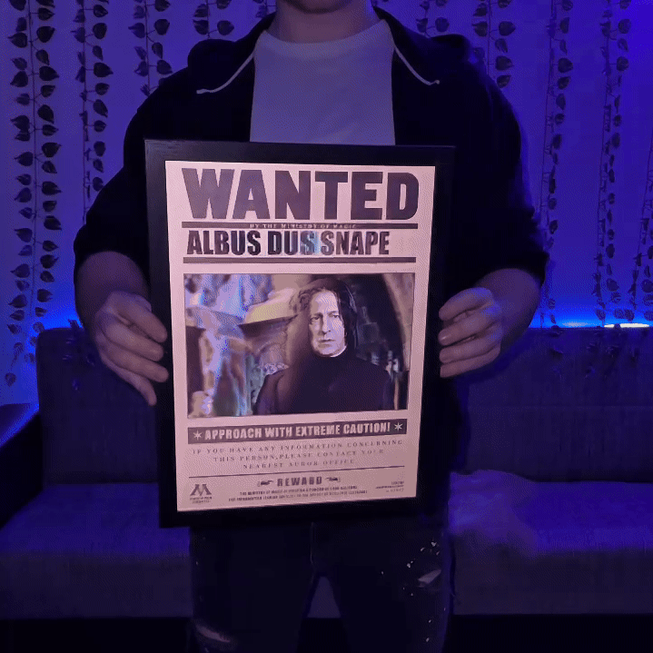 Wizarding Posters
