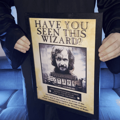 Wizarding Posters