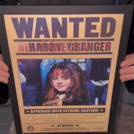 Wizarding Posters