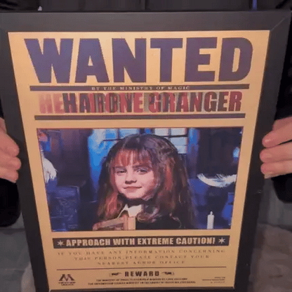 Wizarding Posters