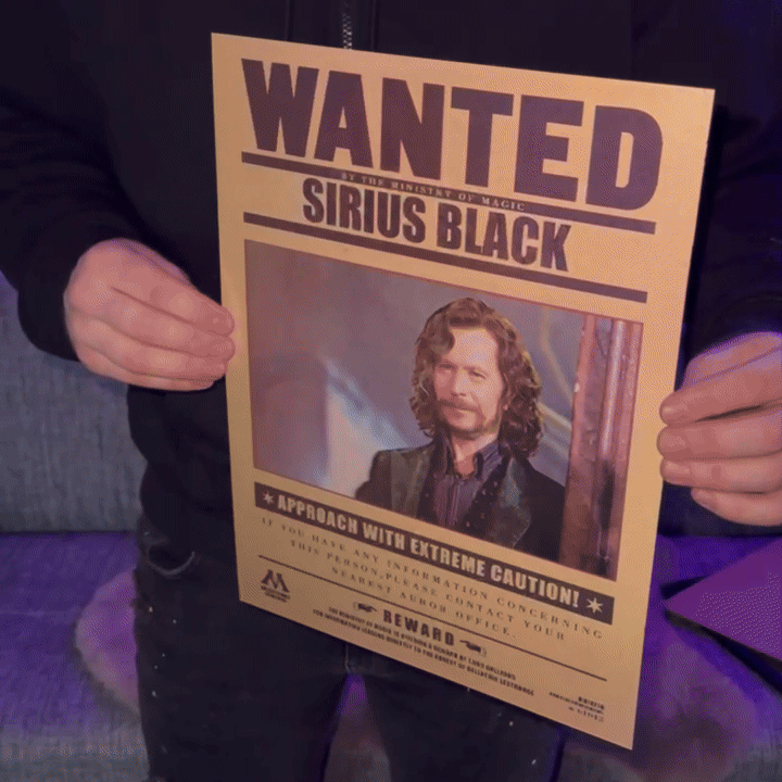 Wizarding Posters