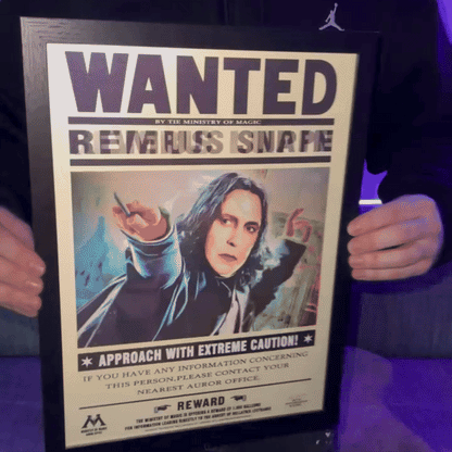 Wizarding Posters