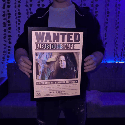 Wizarding Posters